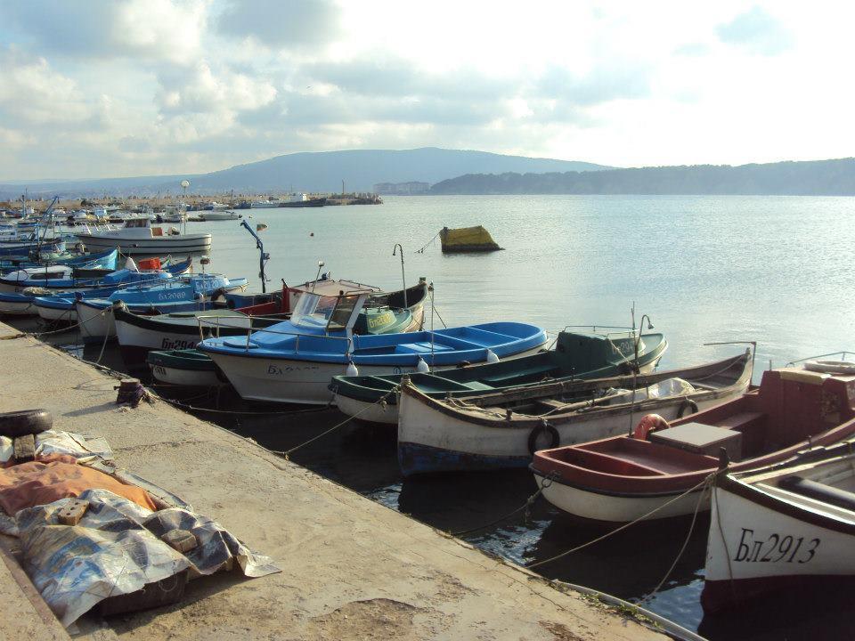 Prostor Guest House Byala  Bagian luar foto
